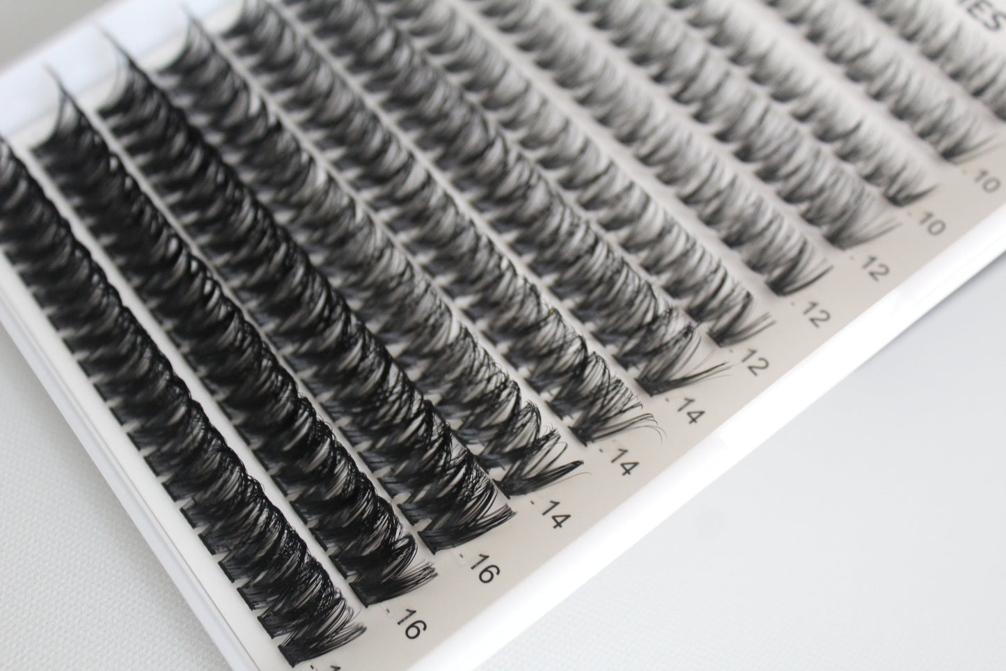 Oh my lash Kit