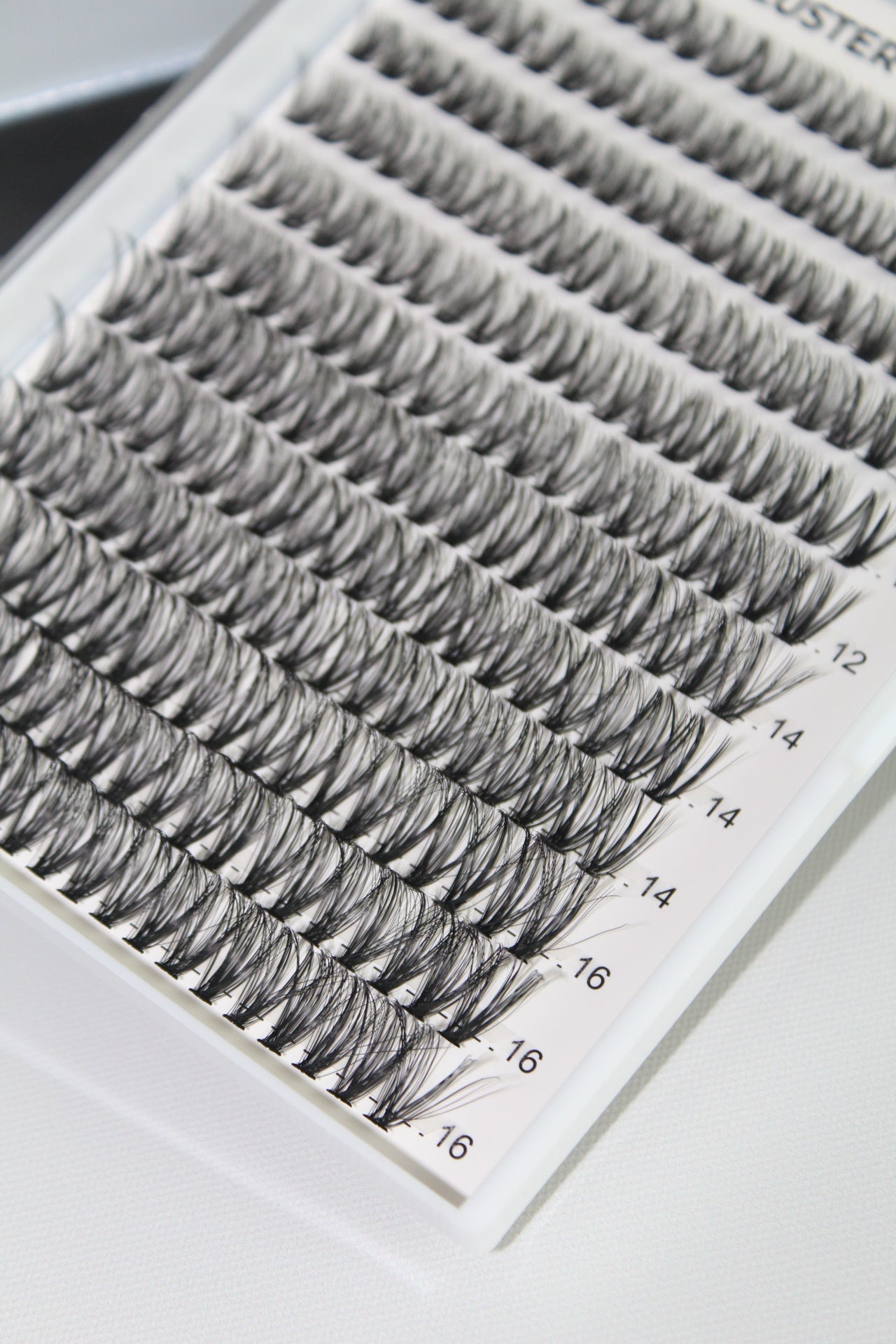 Oh my lash Kit