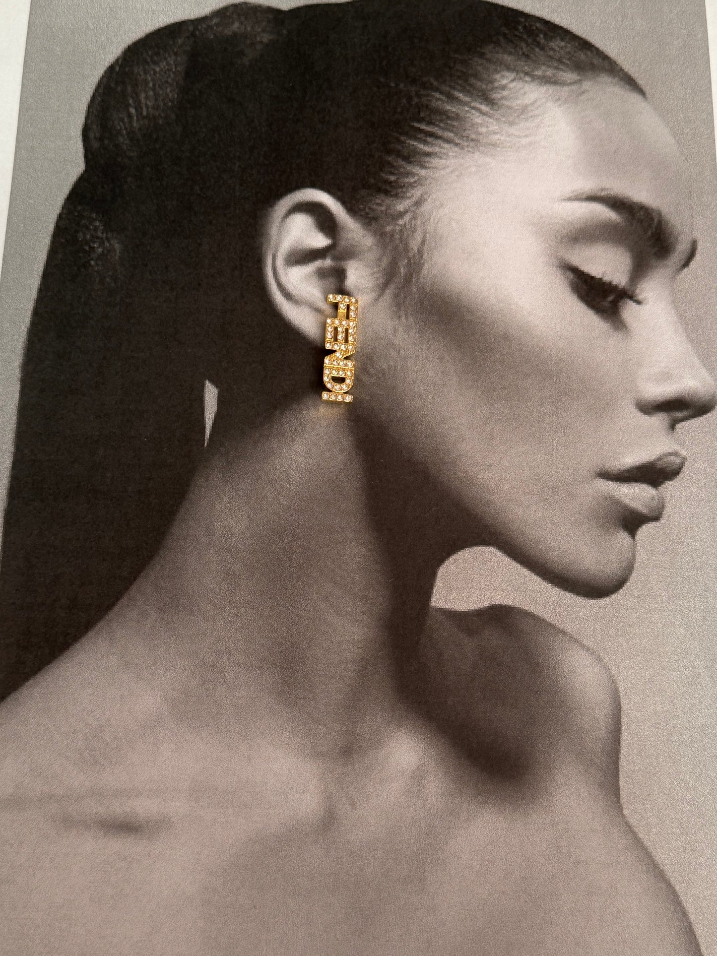 Fer earrings