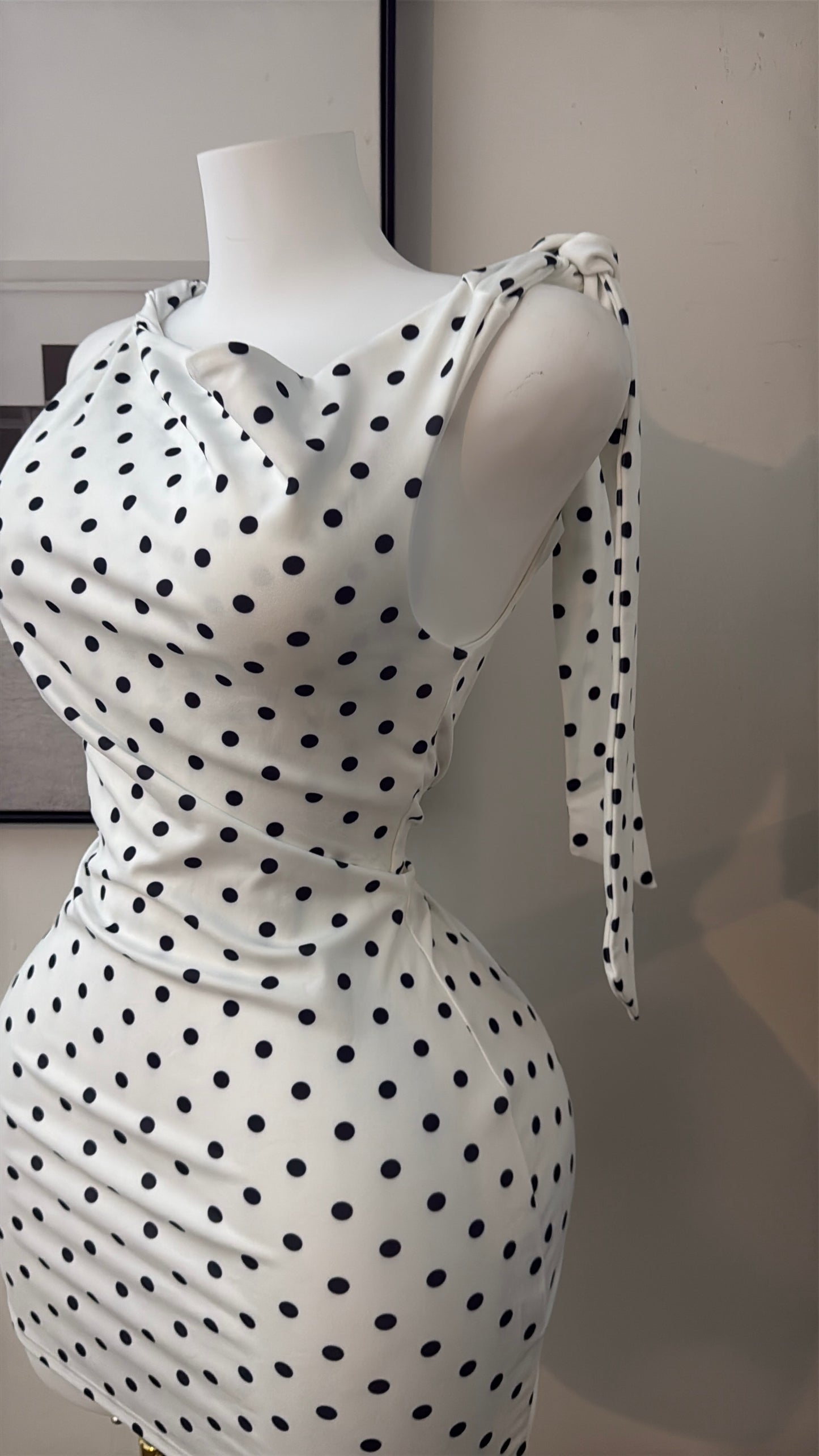 Vanessa dots dress