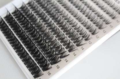 Oh my lash Kit