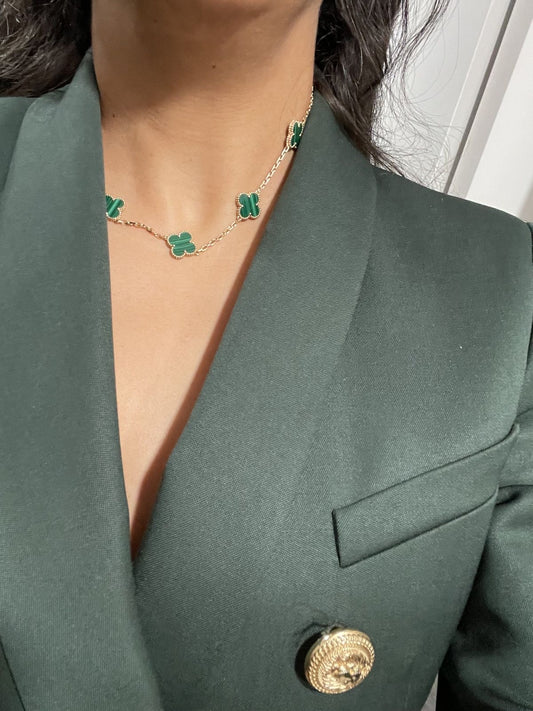 collar VCA